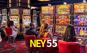 NEY55 ¿Qué información cubre esta sección de preguntas frecuentes?